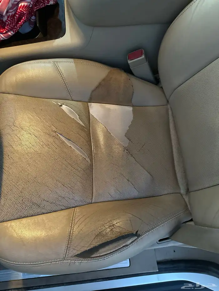 دينالي XL 2013 10