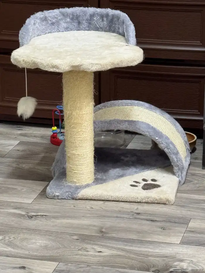 للبيع مستلزمات قطط 2