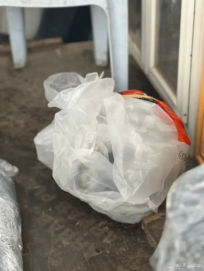 دفرنس اس ار تي موديل 2019 1