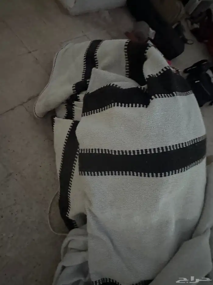 رواق ذرا  للإبل 0