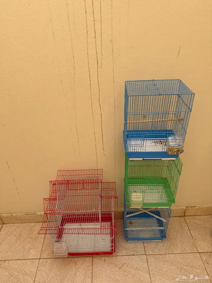 قفاصه طيور صغيره نضيفه مره 0