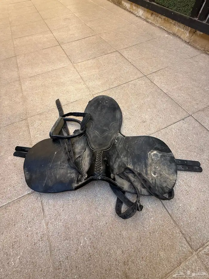 سرج خيل جوكي 1