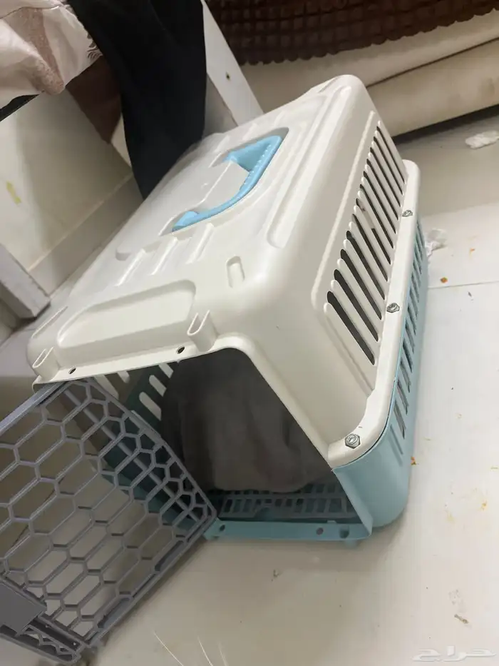 قط   للبيع أليف جدا ويصلح لتبني جدا حلو 3