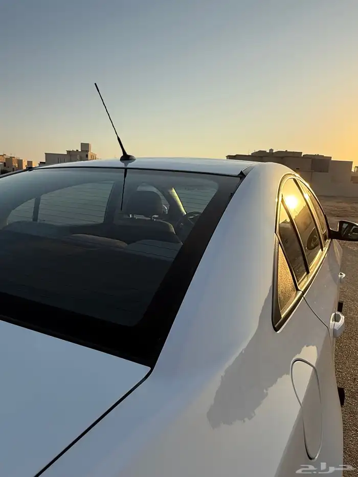 كروز نظيف 2015 19