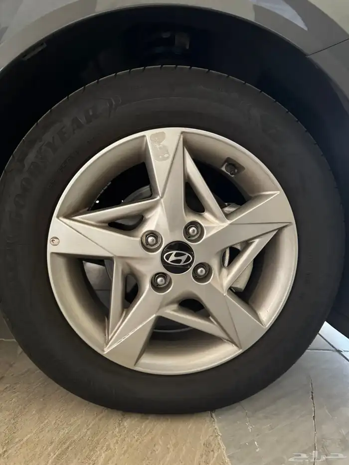 جنوط اكسنت فليت 2025- 3