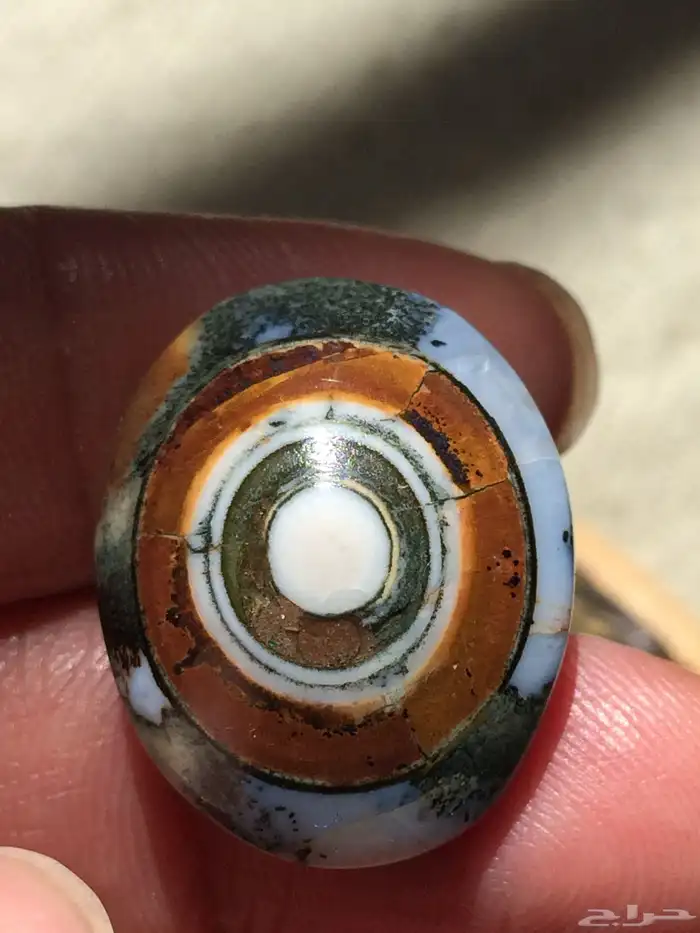 سليماني داوودي 3