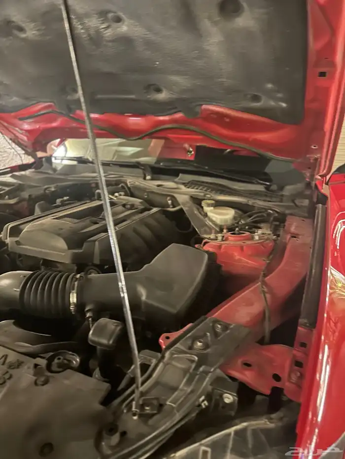 موستنق 2018 كشف 13