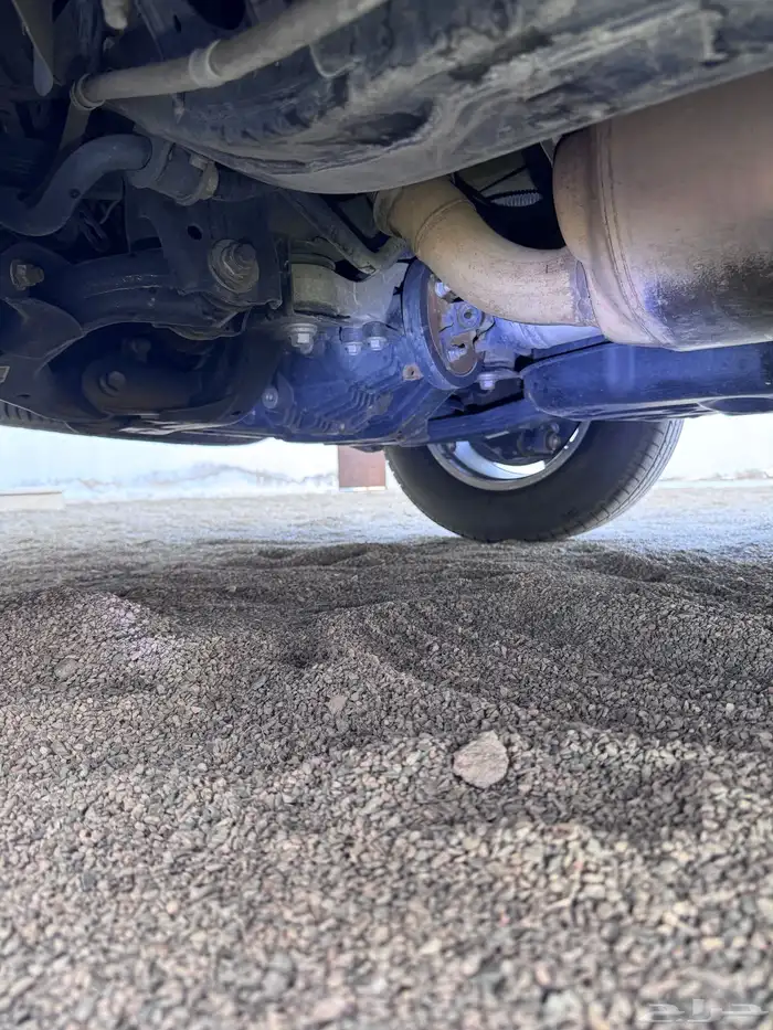 سكويا ( نص فل نظيف ) 60