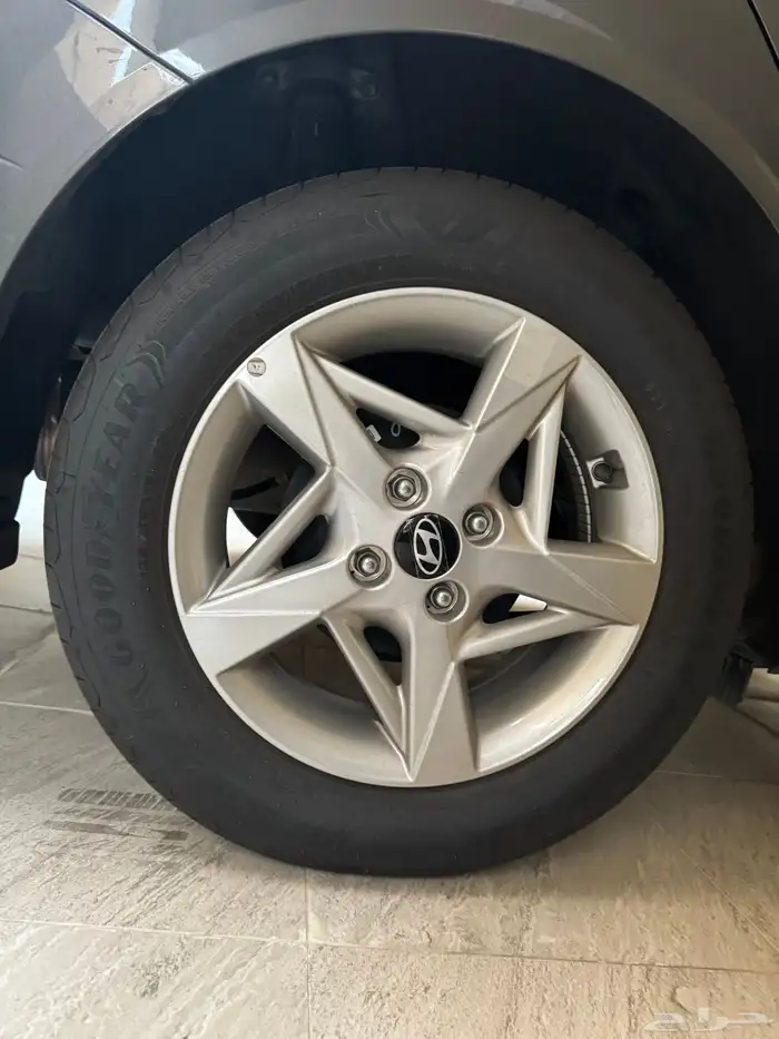 جنوط اكسنت فليت 2025- 0