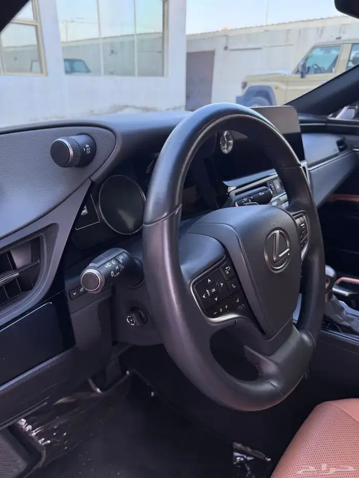 لكزز ( شبه الاصفار ) 49