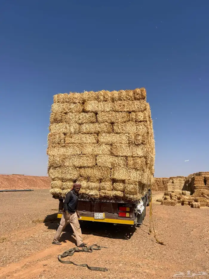 الدفع عند الوصول تبن برر قمح 4