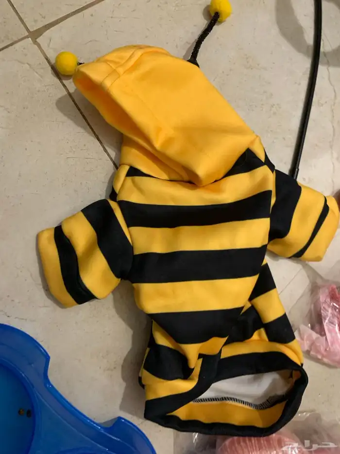 ادوات و العاب ومنزل للقطط 0