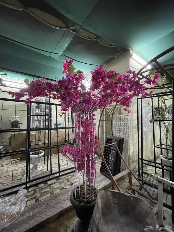 ستاندات للجهنمية و المتسلقات 5