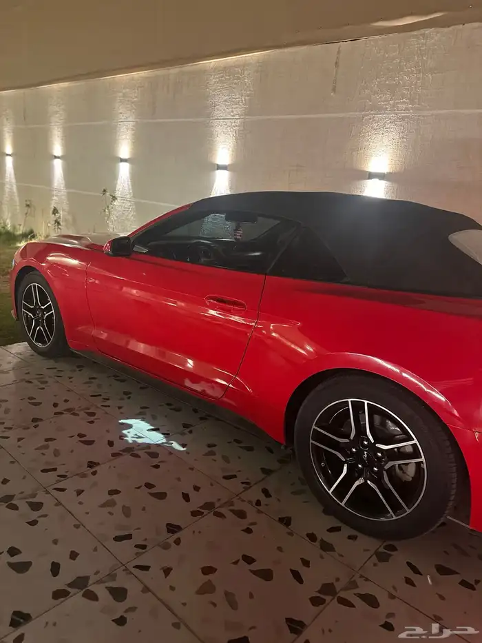 موستنق 2018 كشف 4