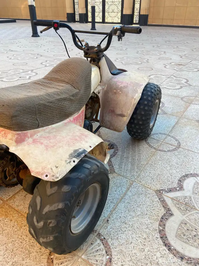 دباب سزوكي حجم صغير 3