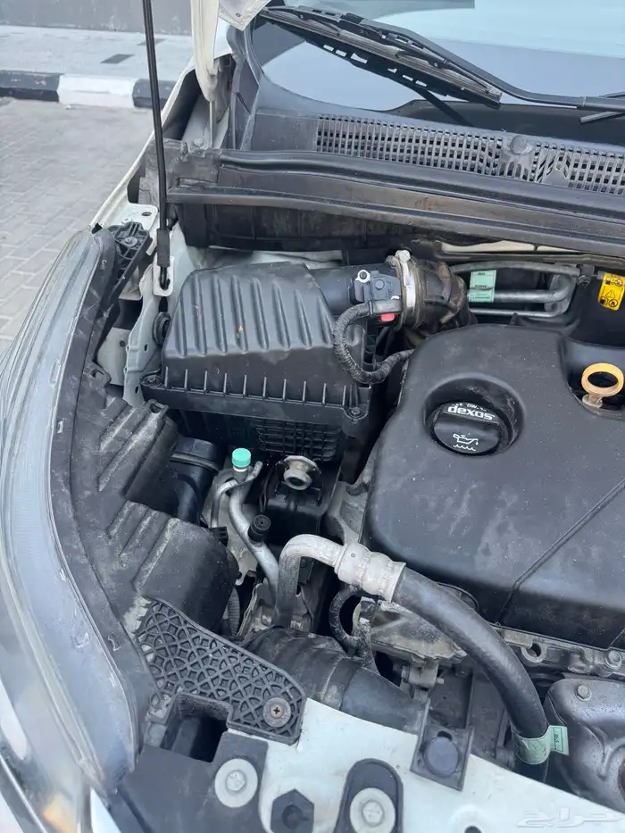 سبارك 2020 ممشى 88 20