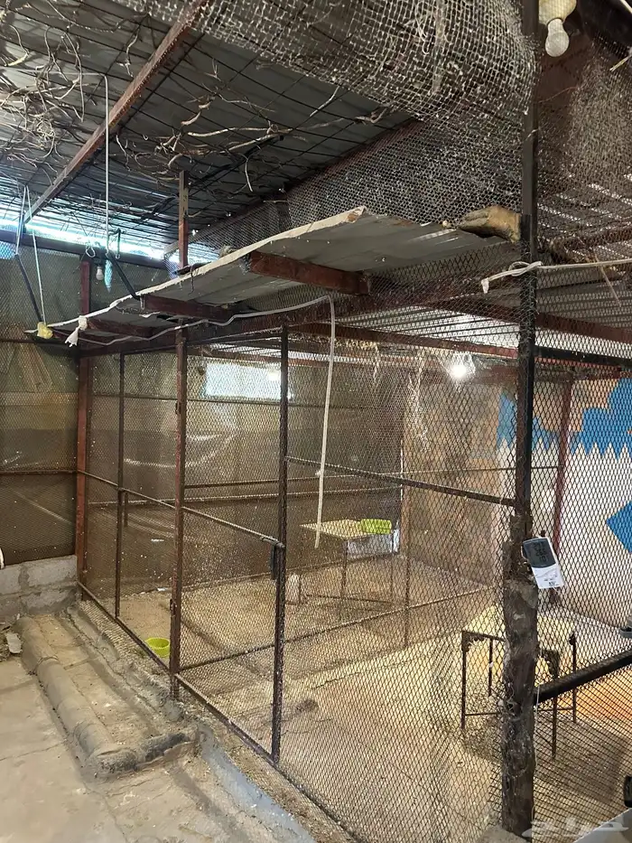 ايواء فندقه ومكان لجميع الحيوانات 0