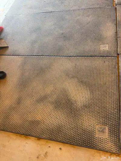 ربل للخيل index