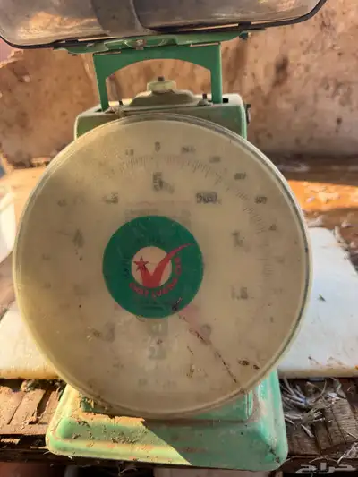 ذكور بط مسكوفي index