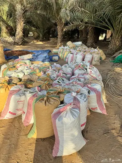 للبيع تمر علف للحلال index