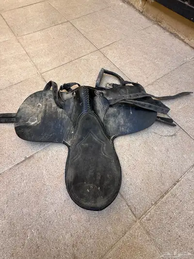 سرج خيل جوكي index