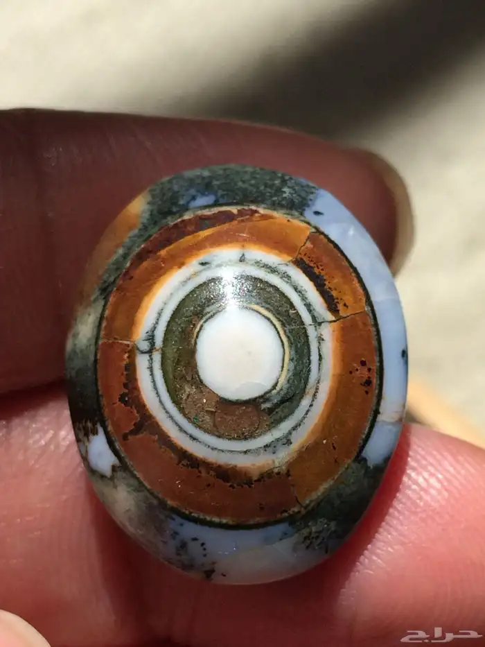 سليماني داوودي 2