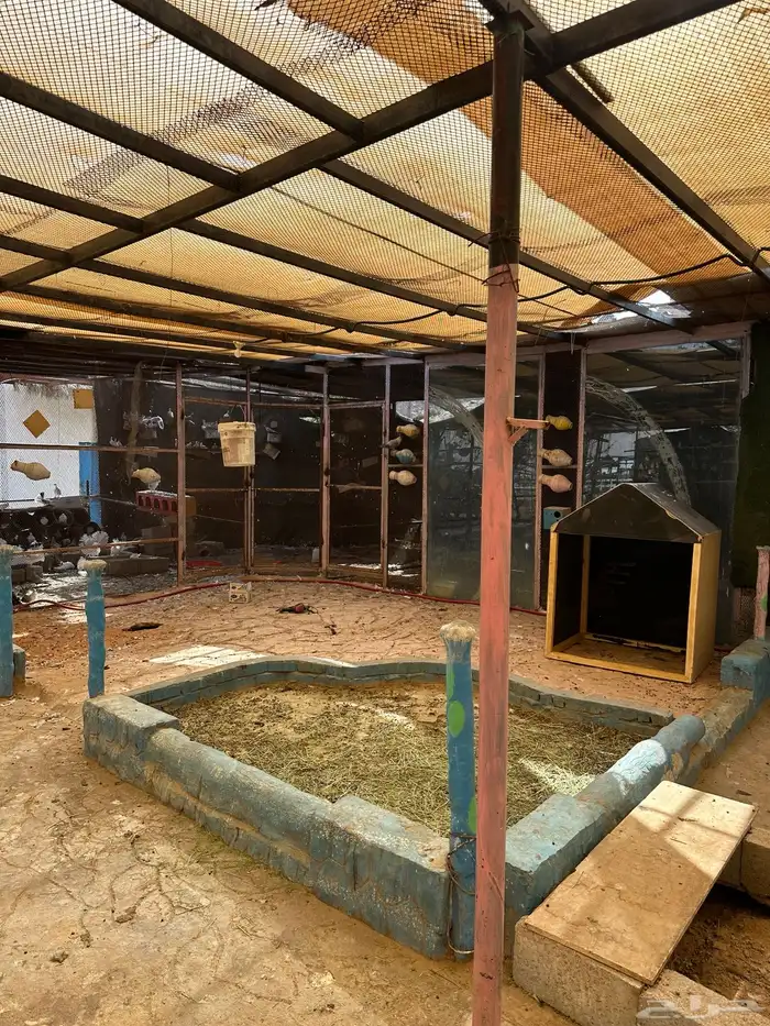 ايواء فندقه ومكان لجميع الحيوانات 2