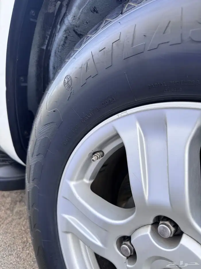 سكويا ( نص فل نظيف ) 18