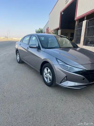 النترا 2022 index