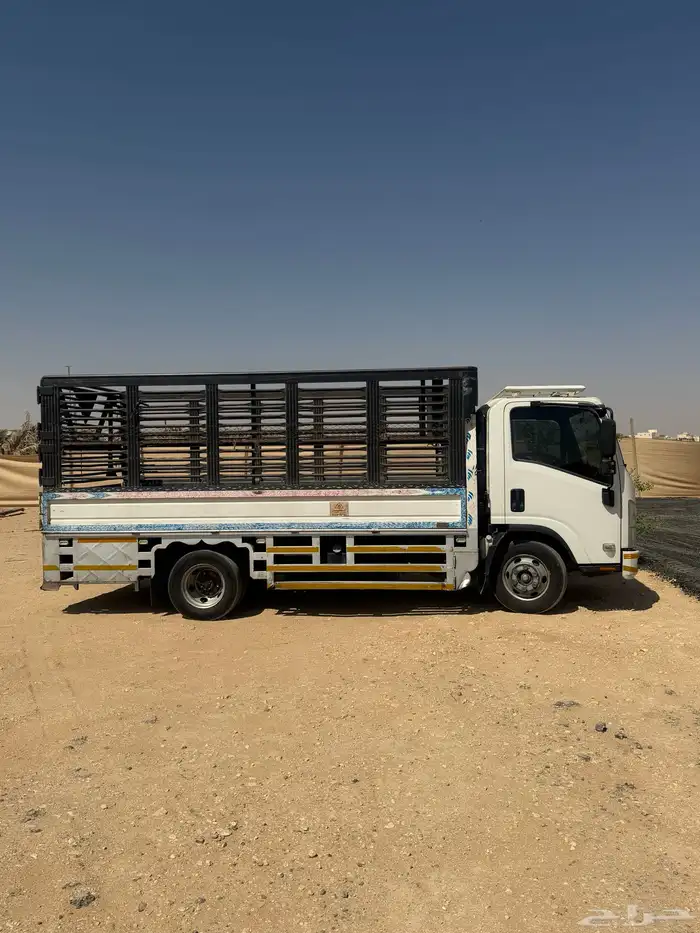 للبيع دينا سيزو 2023 3