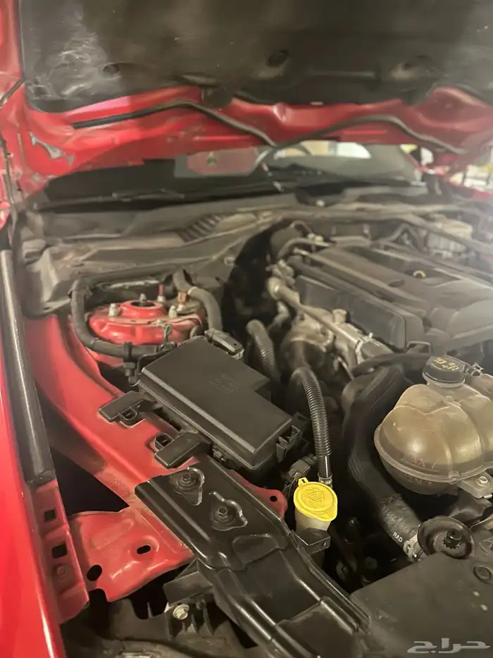 موستنق 2018 كشف 12