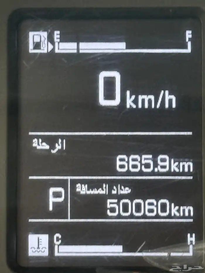 كابتيفيا 2021 17