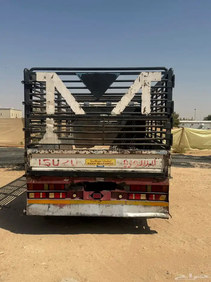 للبيع دينا سيزو 2023 1