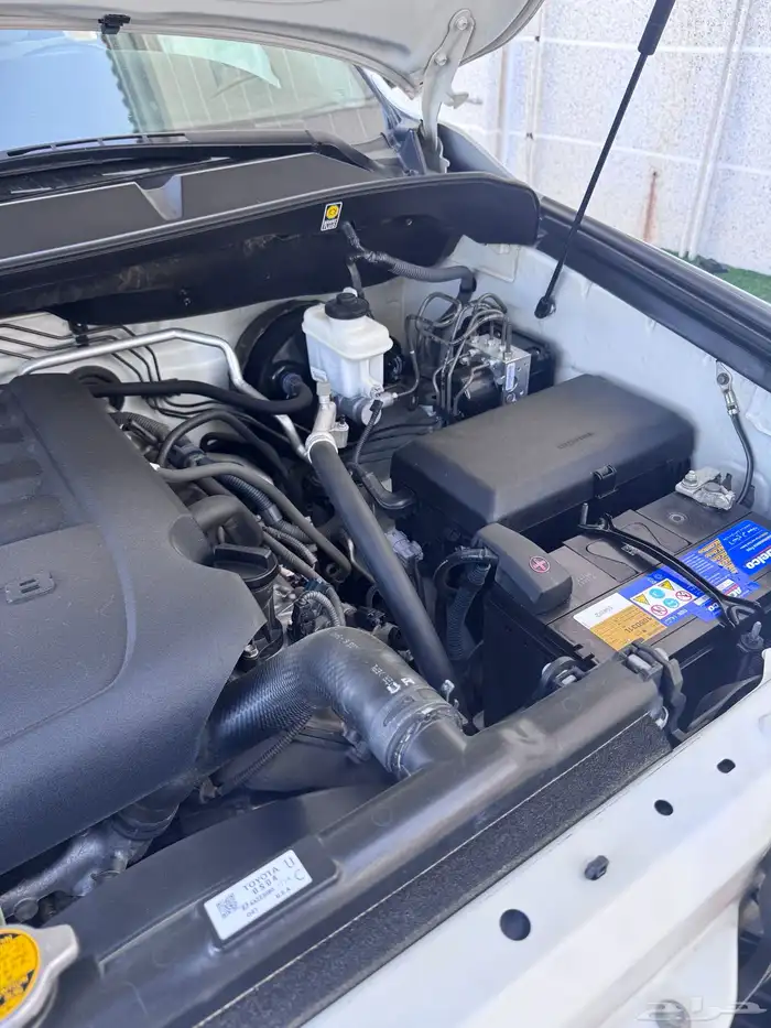 سكويا ( نص فل نظيف ) 99