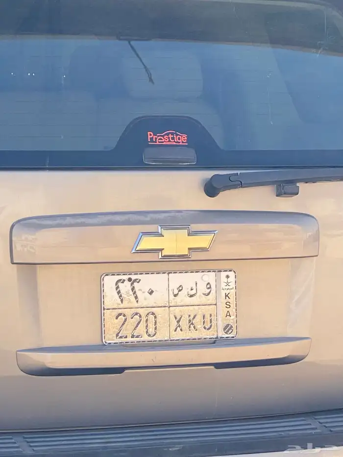 لوحة ( و ك ص 220 ) اوراقها جاهزه للنقل 2