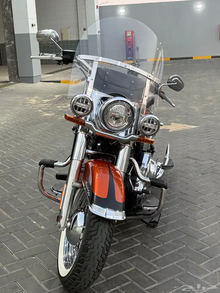 هارلي سوفتيل ديلوكس 2019 اللي يدور النظيف 5