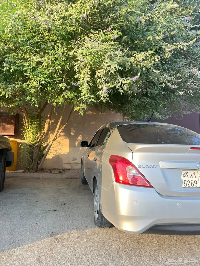 صني نظيف للبيع 3