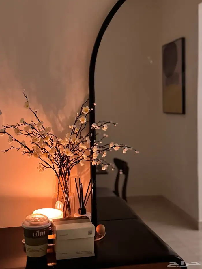 مدخل مع مراية للبيع -شبة جديد السعر 600 استخدام نظيف 0