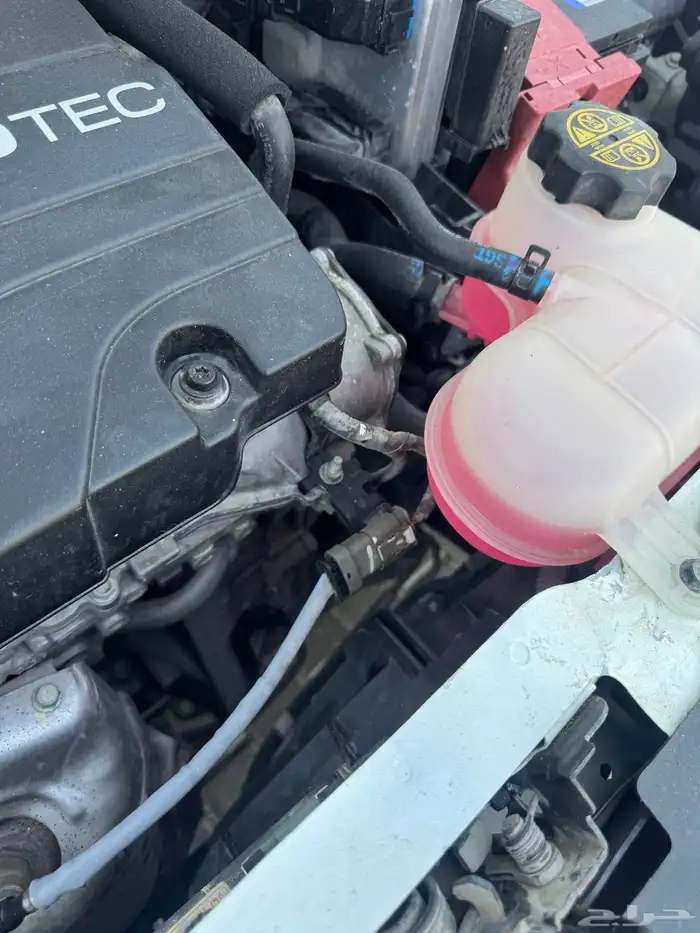 سبارك 2020 ممشى 88 19