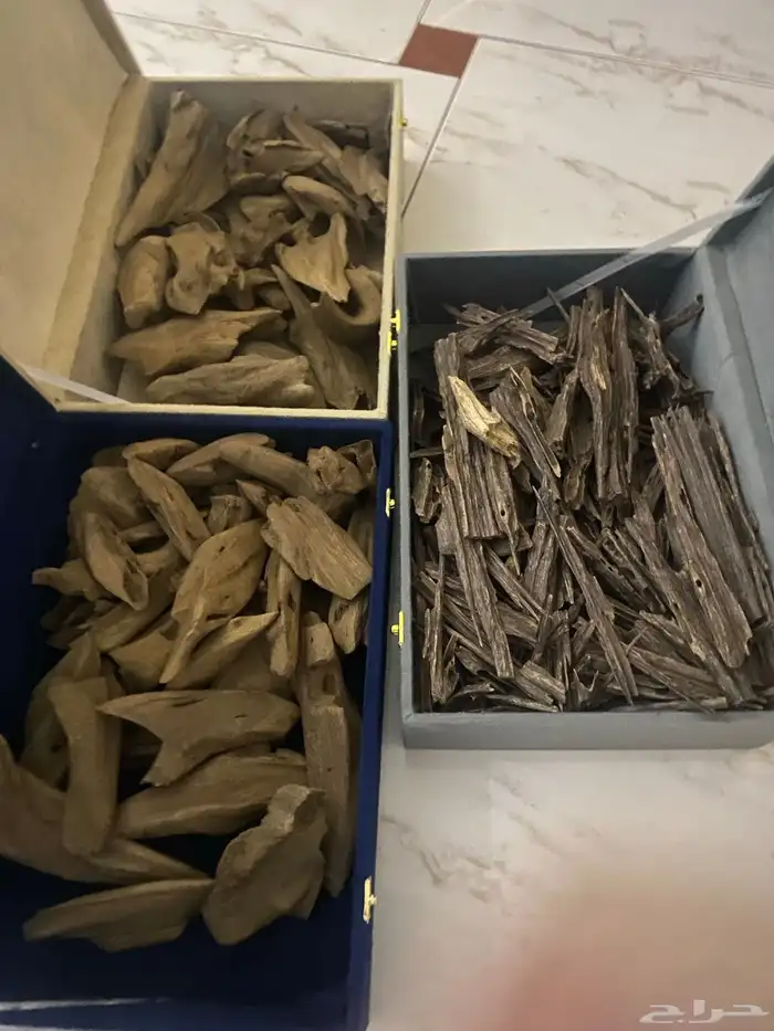 عود مروكي اصقون وكيلو هندي 0