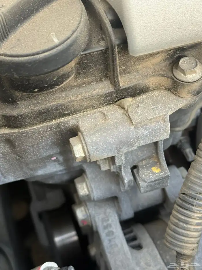 يارس 9 1 0 2 وردة 21