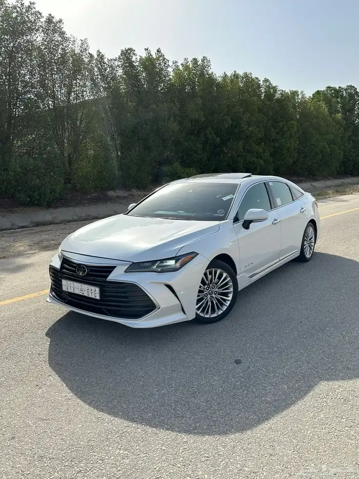 افالون 2019 23