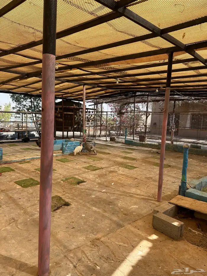 ايواء فندقه ومكان لجميع الحيوانات 4