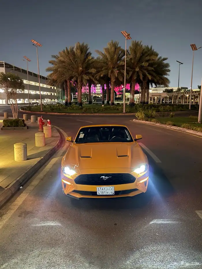 فورد موستنق 2018 ( كشف - فل كامل ) 41