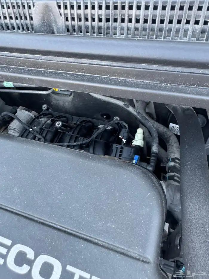 سبارك 2020 ممشى 88 18