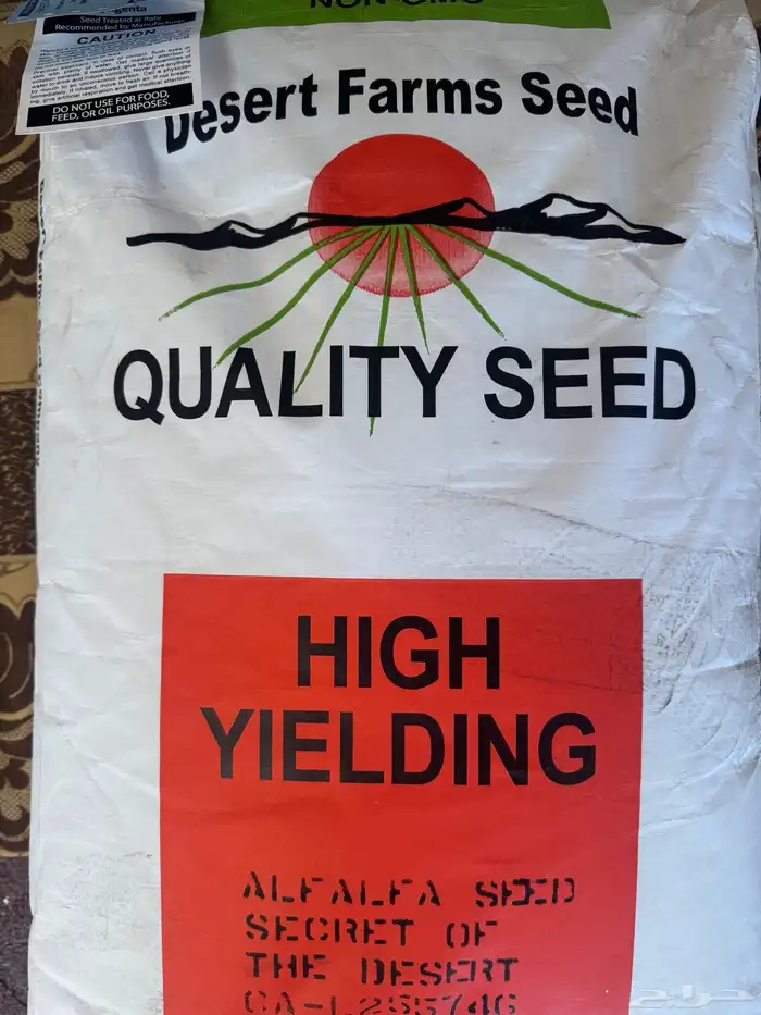 بذور برسيم 1