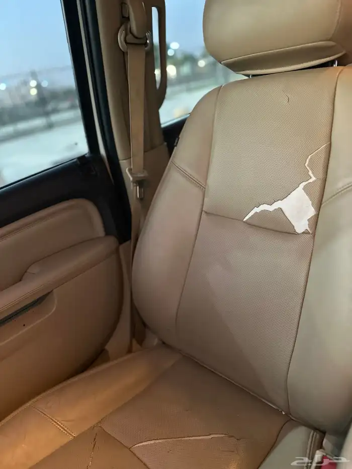 دينالي XL 2013 11