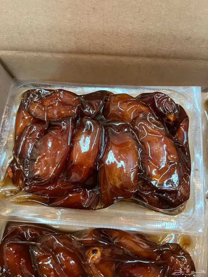 تمر صفري بيشه 6