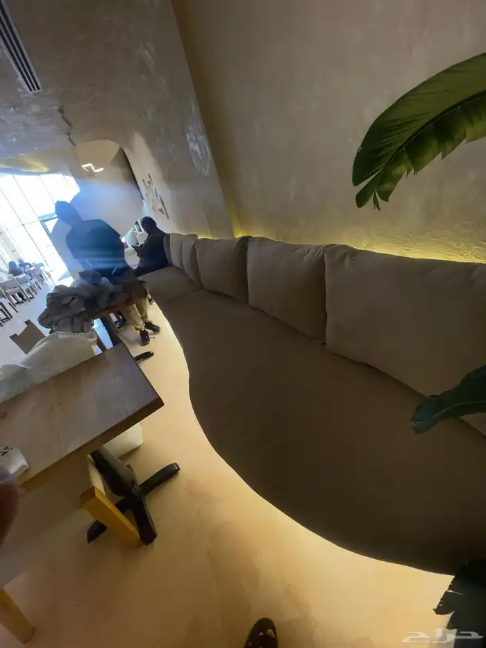 الانواع الجلسات والستائر 18