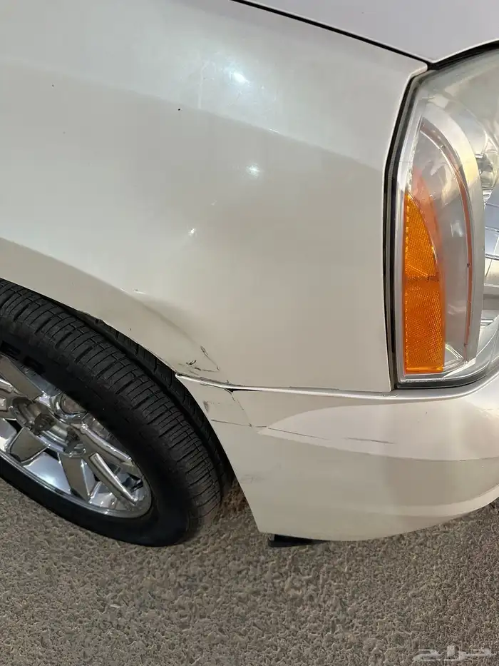 دينالي XL 2013 8